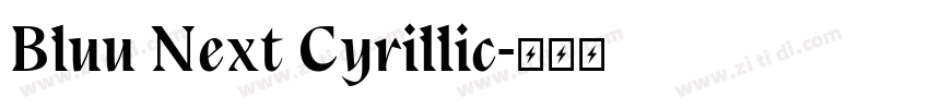 Bluu Next Cyrillic字体转换